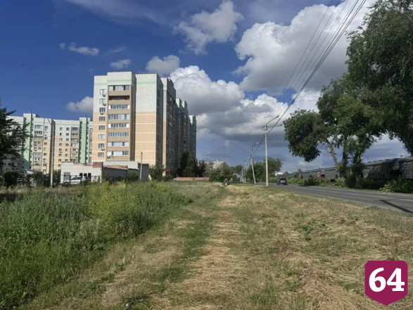 В Энгельсе появится первая площадка для выгула собак  